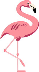 Pink flamingo bird, PNG file no background