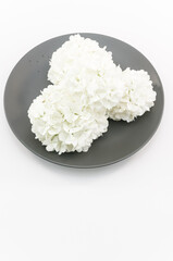 immagine in primo piano di piatto grigio con fiori di ortensia Annabelle bianchi appassiti su...