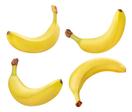 Delicous bananas collection, cut out
