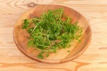 Twigs of washed parsley on wooden dish on rustic table