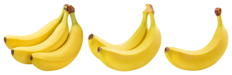 Delicous bananas collection, cut out