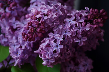 Purple lilac close-up. AI Generated