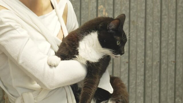 Cat pet black and white held by girl wearing white jumper, funny animal closeup