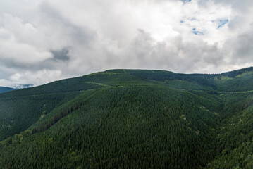 Obraz premium Dlouhe strane hill in Jeseniky mountains in Czech republic