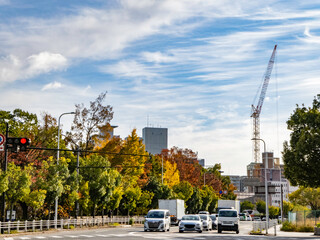 Obraz premium 主要道路沿いの紅葉