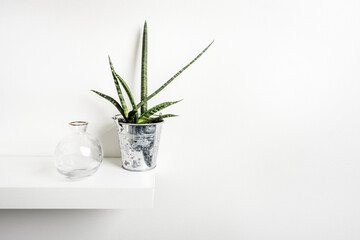 A white wooden shelf holding a glass jar and pot with a sansevieria cylindrica