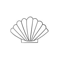 Seashell vector illustration for your design
