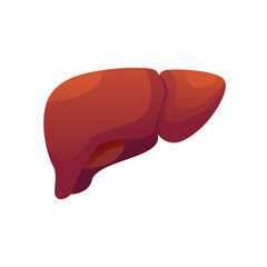 Healthy Liver Icon. Human Organ Isolated on White Background. Vector Illustration in Cartoon Style.