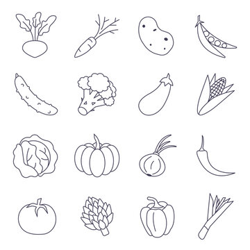 set of black and white vector icons with vegetables, bright simple vector images of vegetable ingredients