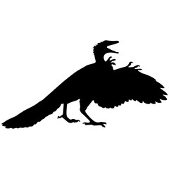 bird lizard silhouette
