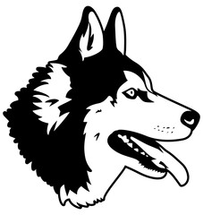 illustration of a husky dog © Vectors