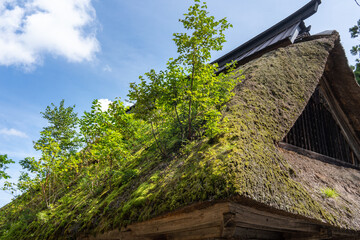 Fototapeta na wymiar 日本の伝統建築－茅葺屋根