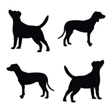 Silhouette dog vector collection .