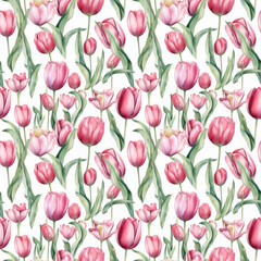 Obraz premium Seamless pattern with many pink tulips on white background in watercolor style. Generative AI.
