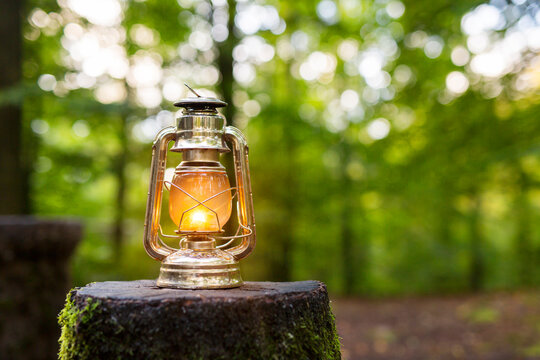 Close-up of kerosene lamp in forest