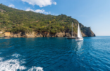 Naklejka premium Sailing boats in front of the coast of Liguria, San Fruttuoso bay between Portofino and Camogli, Genoa province (Genova), Liguria, Italy, Europe. Mediterranean sea (Ligurian sea).