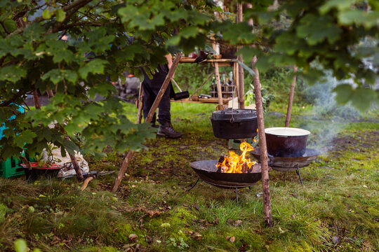 Food cooking over campfire in forest