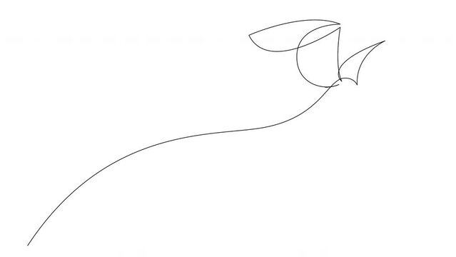 Self drawing simple animation of flying stork bird drawn in continuous one line art style. Animated black linear sketch of flying heron bird.