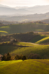 Countryside landscape, green agricultural fields among hills