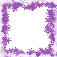 purple frame