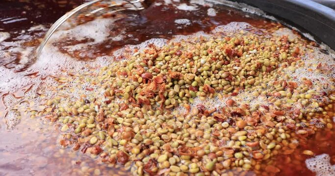 process of fermentation and quality inspection of cofee beans with water system.4k video