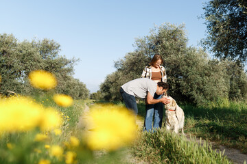 Couple with pet ,golden retriever dog, walking along path across field in countryside