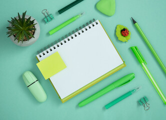 Empty page with green pen, pencil and marker on pastel green background. Eraser in the form of...