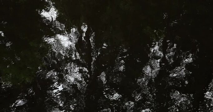 Abstract forest trees and sky reflection on flowing river surface in summer.
