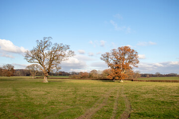 Countryside scenery