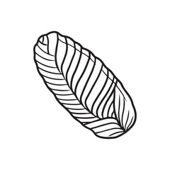 Beautiful tasty fresh braided bread with bran gluten free in black isolated on white backgound. Hand drawn vector sketch illustration in doodle engraved vintage style. Healthy lunch, sandwich.