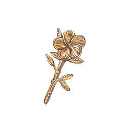 Golden style hairpin brooch isolated on white background. Watercolor hand drawing realistic illustration. Art for design - 598888090