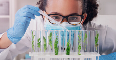 She studies all forms of plant life. a young scientist working with plant samples in a lab.