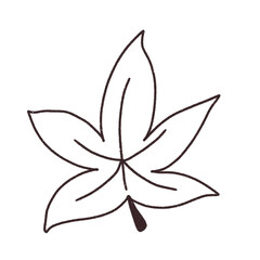 cut Leaves of plants and trees sketch icon Hand drawn 