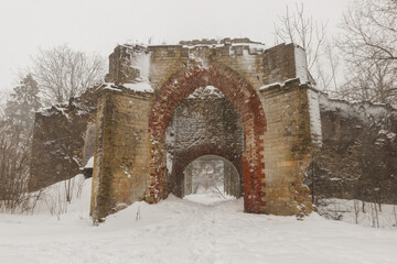 Ruins of the Church of the Intercession of the Most Holy Theotokos in the Volosovsky district of the Leningrad region
