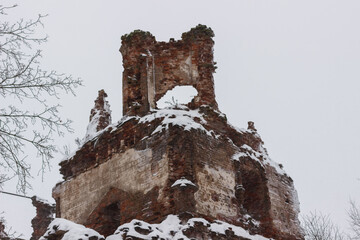 Ruins of the Church in the name of the Holy Apostles Peter and Paul in the Volosovsky district of...