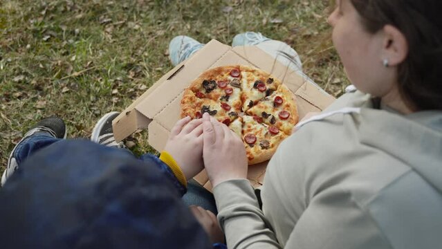 Mother and son had picnic on green windy lawn. Child wants to take piece of delicious pizza, woman pushes hand of impatient son away. Limiting intake of junk food.