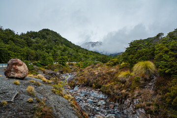 Rocky riverbed with evergreen trees on the banks. Ohukune Mountain Road, North Island, New Zealand