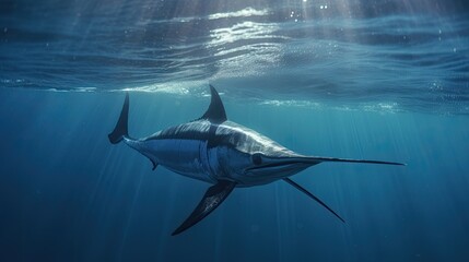 Swordfish to the surface of the sea Generative AI - obrazy, fototapety, plakaty