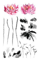 Watercolor painting ink chinese lotus elements collection 1