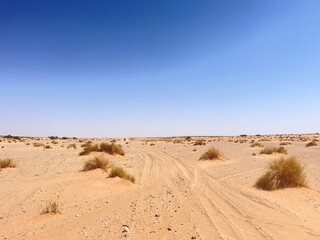 Fototapeta na wymiar piste sable au Maroc
