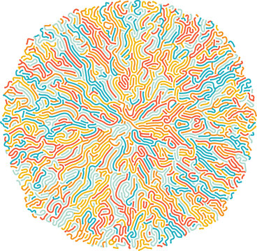 Organic Reaction Diffusion Turing pattern. Relevant to the natural process that causes animal patterns, as well as to computer and social networks. Creative coding computational design. 