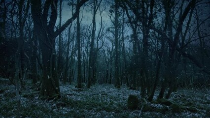 Snow Falls In Bleak Winter Woods Moving Shot