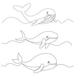 whales continuous line drawing isolated vector