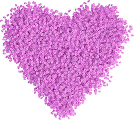 Flower garden in the shape of a heart