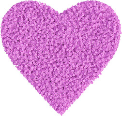 Flower garden in the shape of a heart