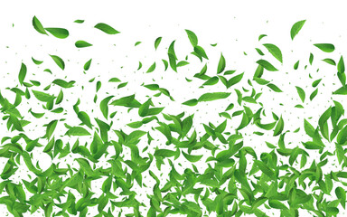 Green Greens Fly Vector White Background Branch.