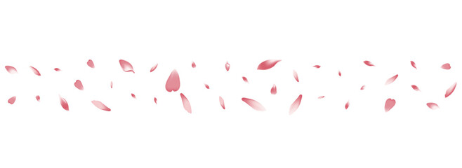 Pink Peach Petal Vector White Background. White - obrazy, fototapety, plakaty