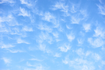 Fleecy clouds - abstract background