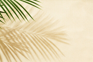 Sandy beach with shadow of palm leaves - background - 598901095