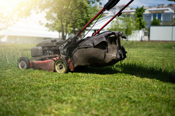 Grass Cutting in Progress, Lawn Mower Working on a Sunny Day